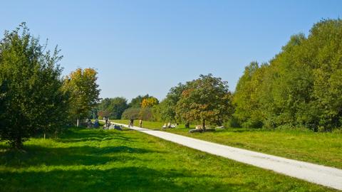 Arboretum Main-Taunus