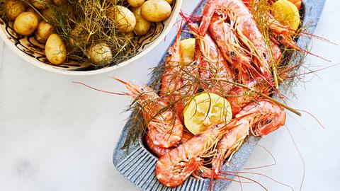 Fenchel-Gambas