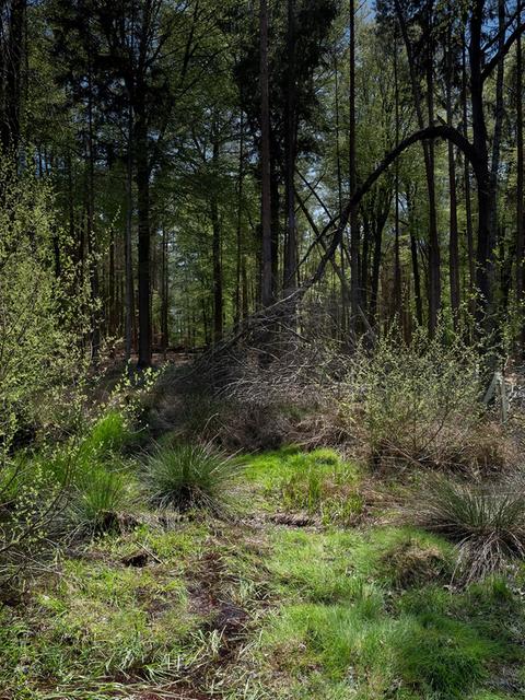 Aus der Fotoserie "Not alone" von Florian Albrecht-Schoeck