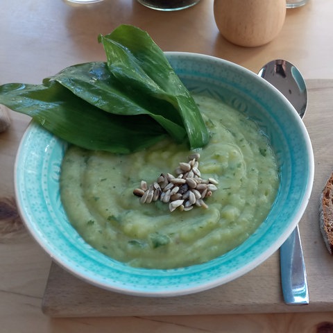 Bärlauch-Sahne-Süppchen