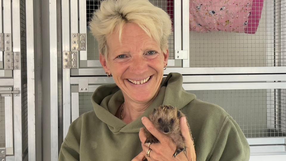 Tanja Schäfer von der Wildtierhilfe Schäfer mit einem Igel. 