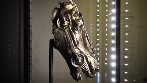 Der antike römische Pferdekopf